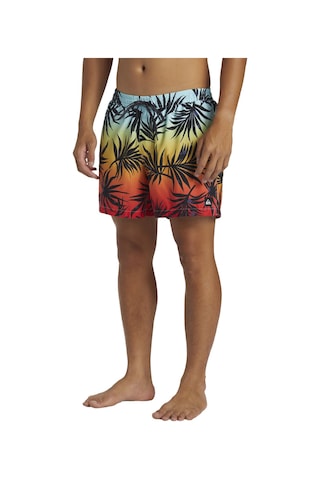 Quiksilver Quıksılver Everyday Mıx Volley 15 Rqc0 Çok Renkli