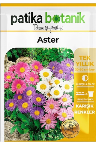 Patika Botanik 50 Adet Aster Çiçeği Tohumu