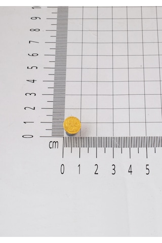 Bilezikci 22 Ayar Altın Tuğralı Pimli Küpe Sarı Altın