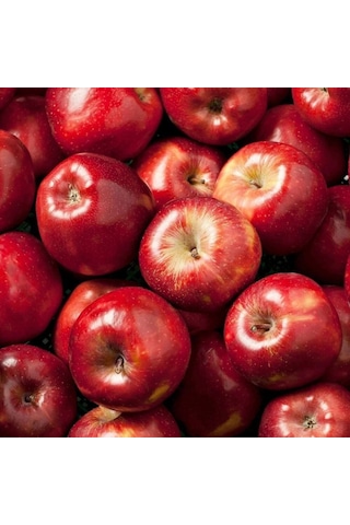 Tüplü Aşılı Yarı Bodur Red Miracle Elma Fidanı