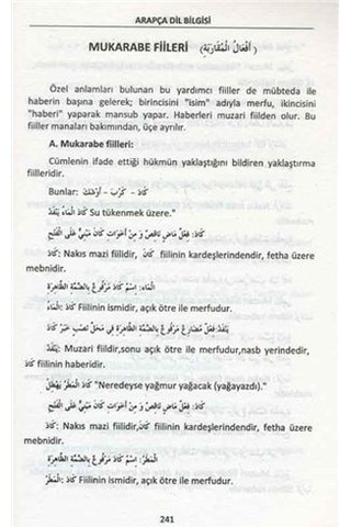 Arapça Dilbilgisi Nahiv - Kadir Erbil - Ravza Yayınları