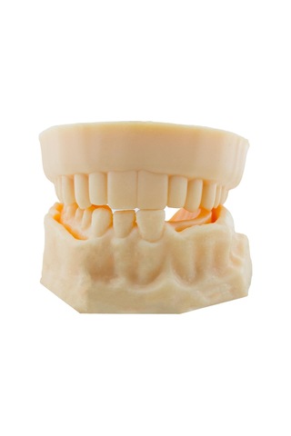 Barışhan Medikal Silikon Çene Diş Dikiş Modeli Ortodontik Alt Üst Çene Periodontal Sütür Eğitim Modeli-6