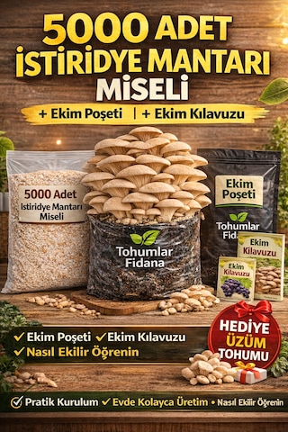 5000 Adet İstiridye Mantarı Miseli + Ekim Poşeti + Kılavuz - Hediye Üzüm Tohumu