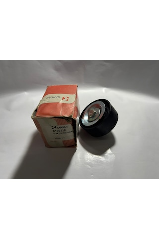 Karsan V Kayışı Altarnatör Rulmanı K100119