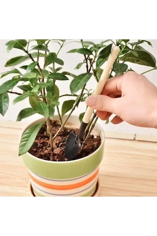 Zensaas41 Mini Kazma, Kürek Ve Tırmık Seti Zensaa56