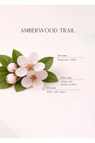 Bella Maison Amberwood Trail Çubuklu Oda Kokusu Sarı 100 Ml Vanilya