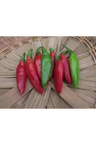 Eko Paket Balık Biberi Tohumu Acı Balık Biber Tohumu 150 Adet Tohum