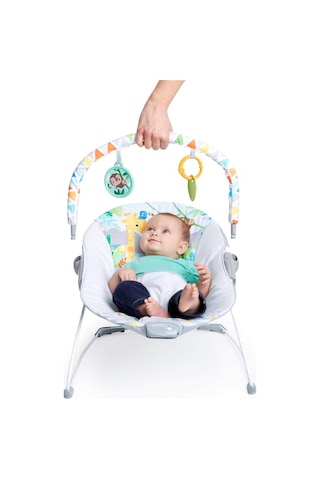 Bright Starts Bebek Salıncağı, Rahatlatıcı Titreşimli Bebek Ana Kucağı