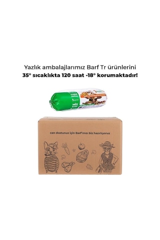 Barftr Kedi Barf 3 KG Yetişkin Kedi Maması 15 x 200 G