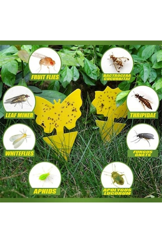 Neevoyu 20 Adet Sarı Güneş Çiçekli Bitki Böcek Tuzağı - İki Yönlü Yapışkan, Uçan Böcekleri Tutmak İçin Dış/iç Mekanlar İçin