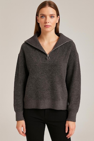 Fashion Friends Yakası Fermuarlı Sweat Antrasit