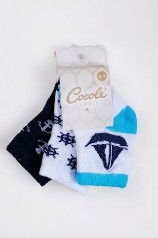 Cocole Socks Erkek Çocuk Soket Çorabı 3 Lü Set Pamuklu Dümen & Yelkenli & Çapa Desenli Çok Renkli