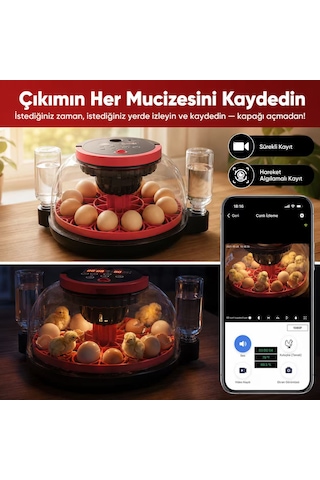Akıllı Kameralı Kuluçka Makinesi - 12'li