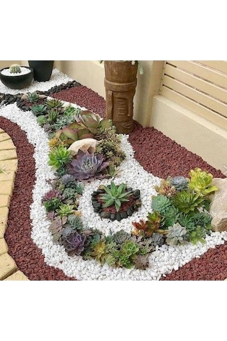 Dolomit Taş Beyaz Taş 25 Kg 1-2 Cm Dere Taşı Çakıl Taşı Dolamit