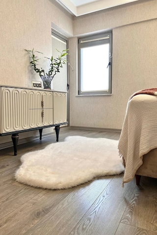 Apex Reiki Krem Peluş Post Şekilli Halı Krem