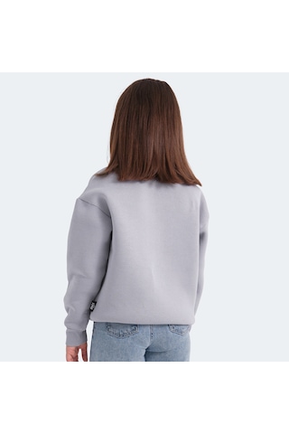 Slazenger LOGAN Çocuk Taş Gri Sweatshirt