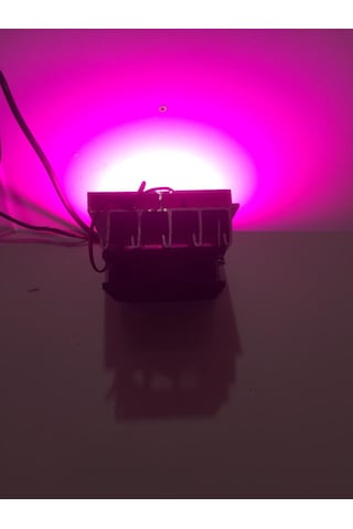 50 WATT Bitki yetiştirme lambası