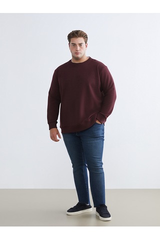 Lcw Vision Bordo Bisiklet Yaka Erkek Kalın Sweatshirt