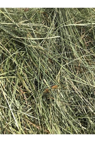 Çayır Otu Taze Yeşil ve Kuru Kemirgen Otu 1 KG