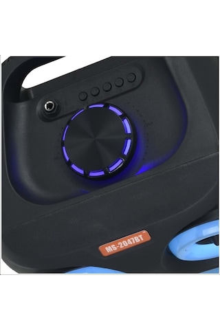 Rose Ms-2047-bt Bluetooth Ve Usb Girişli 8 İnch Şarjlı Işıklı Hoparlör