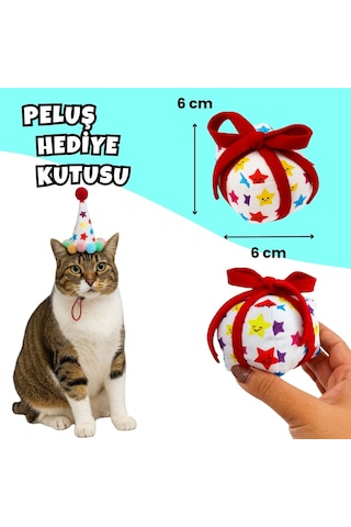 Kedi Parti Kutusu  4'lü Set