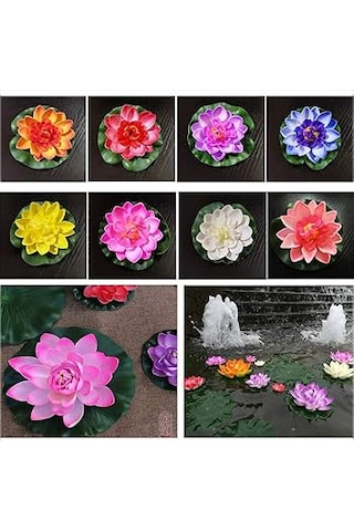 10 Adet Tohum Nadir Karışık Lotus Su Çiçeği Çiçek Tohumu