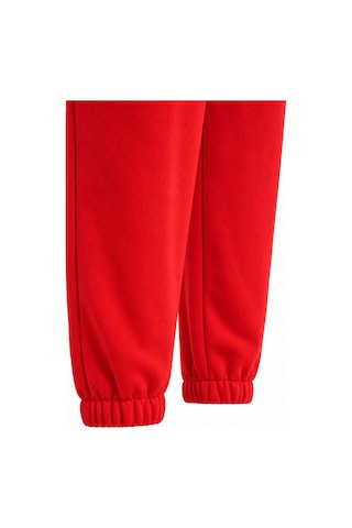 Beord Nar Çiçeği %100 Pamuk Cepli Eşofman Altı Sweatpant Narçiçeği