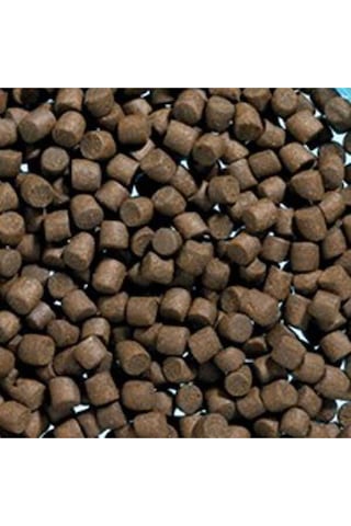 Akvaryum Dip Balık Yemi 8 Mm 1 Kg Akvaryum Dip Balık Yemi 8 Mm 1 Kg
