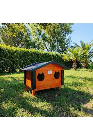 2'li Kedi Evi Dış Mekan