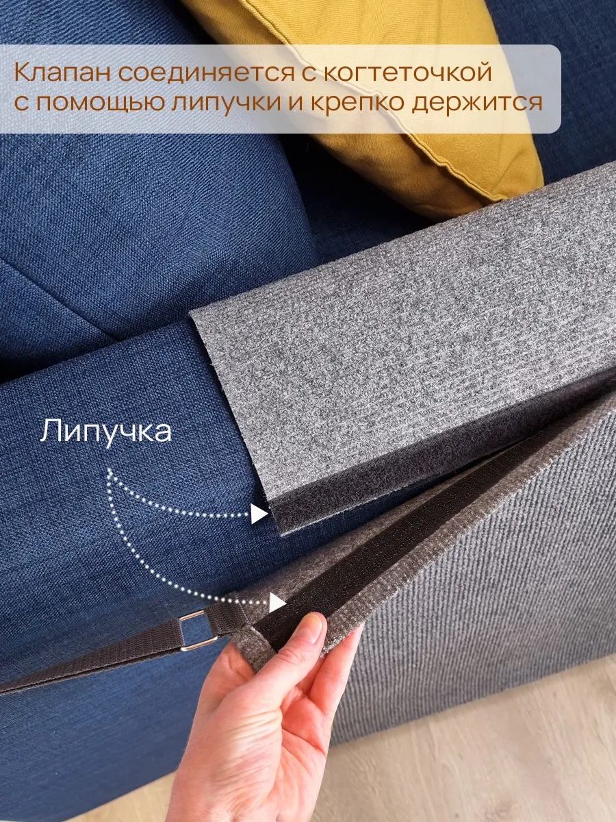 Aseliadia Kedi Kola Sopa Yıkama Aparatı 75x58 247303414