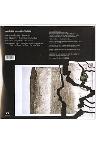 Radiohead A Moon Shaped Pool Double Lp Plak