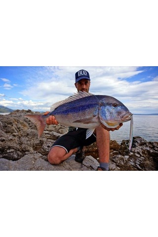 Duo Press Bait Saira Ada0213 / Ocean Bait