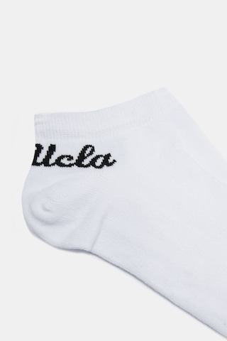 Ucla Carlsbad 2'li Beyaz Babet Jakarlı Standard Fit Unisex Çorap Beyaz