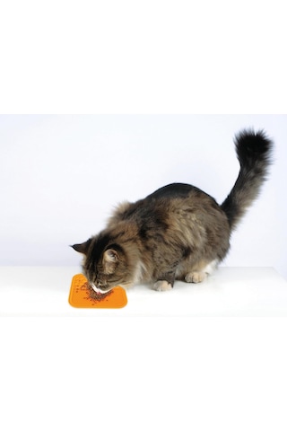M-pets Lecca Sıvı Ödül Matı Turuncu M