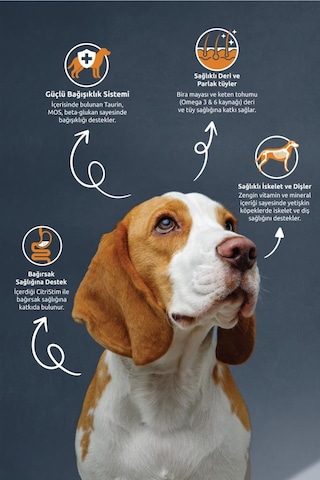 Reflex Kuzu Etli Ve Sebzeli Yetişkin Köpek Maması 3 Kg