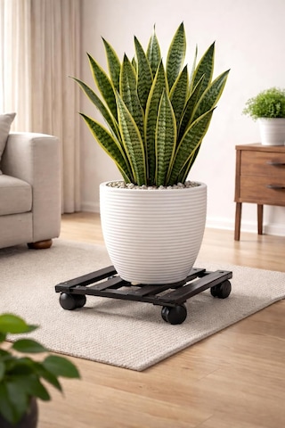 Tekerlekli Saksılık Metal Hareketli Çiçek Standı 30 X 30 Cm Saksı Altlığı Holtech