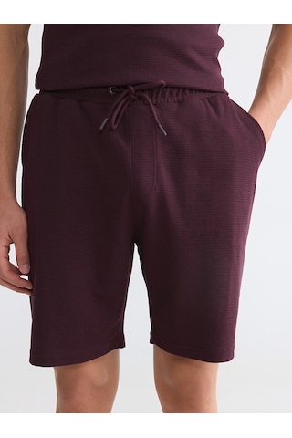 Lcwaıkıkı Classic Mürdüm Regular Fit Erkek Şort
