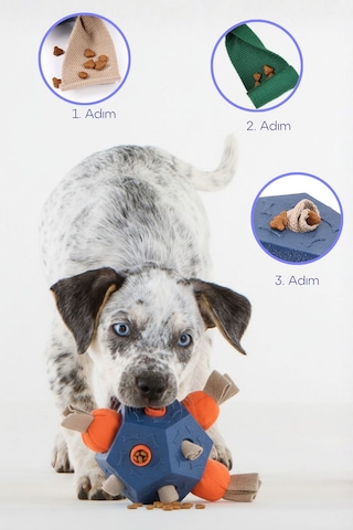 Köpek Aktivite Topu Mama Saklama Ve Çiğneme Oyuncağı