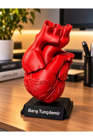 Kişiye Özel Gerçekçi Kalp Anatomisi Modeli 3d Baskı İsimli Dekoratif Masaüstü Biblo Kırmızı