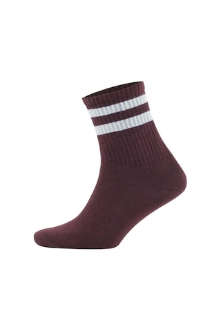 Pallmali Collection- 4'Lü Pamuklu Çemberli Kısa Yarım Konç Kolej-40-44 Çok Renkli