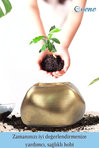 Saksı Çiçek Kaktüs Saksısı Lüx 14 Cm Elips Desenli 3'lü Set Çiçeklik - Altın Eskitme