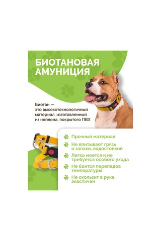 Ooo "firma Kaskad" Köpek Tasması 343182163 Turuncu