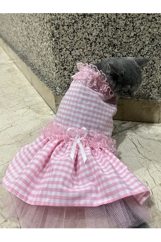 Pembe Beyaz Kareli Kurdeleli Kedi Köpek Kıyafeti Xsmall/xs/beden0