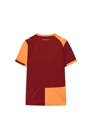 Puma Erkek Galatasaray 25/26 İç Saha Forması 77980901 Kırmızı 1122
