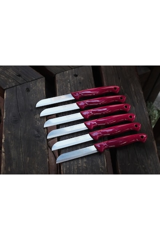 Solingen Simli Tırtıklı Sebze Meyve Bıçağı 6 Adet Karışık Renk