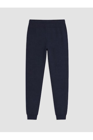 Lcw Eco Lacivert Regular Fit Erkek Jogger Eşofman Altı