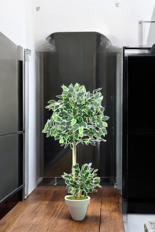 130 Cm Ficus Yapay Ağaç Bambu 2 Gövdeli Beyaz Plastik Saksı Yeşil