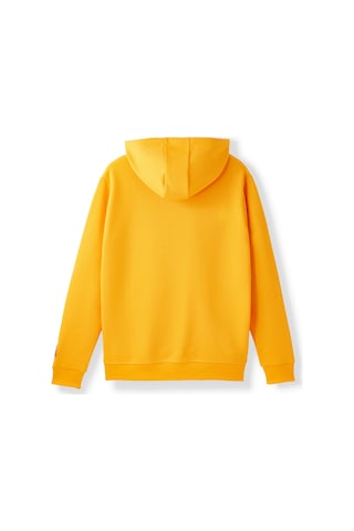 Gsstore Galatasaray Erkek Zip Hoodie E252113 Sarı