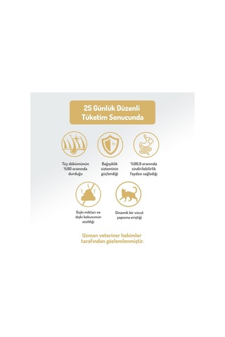 Ayrex Az Tahıllı 2 Kg Sterilised Somonlu Kısırlaştırılmış Hypoallergenic Kedi Maması