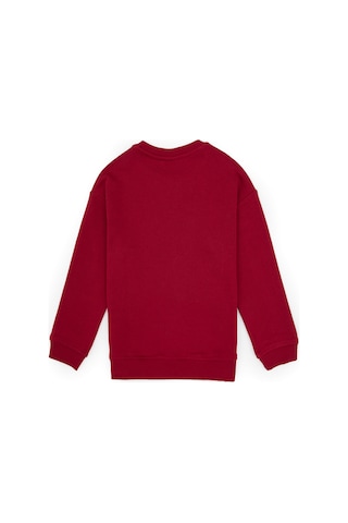 U.s. Polo Assn. Erkek Çocuk Sweatshirt 50313829-vr104 Koyu Frambuaz/dark Raspberry